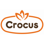 Crocus