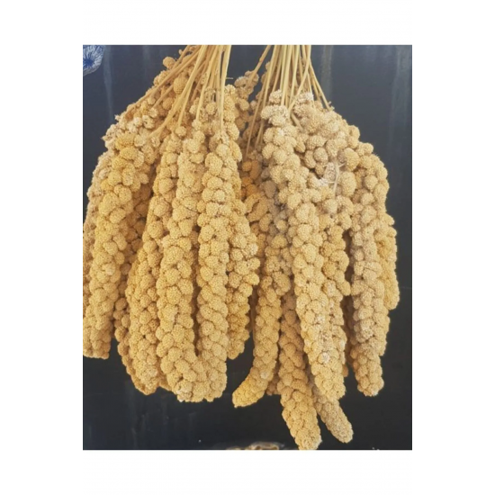Kuşlar İçin Doğal Sarı Dal Darı 100 gr