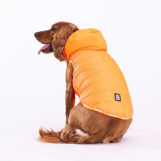 Pawstar Neon Orange Railway Vest Köpek Montu X Large 34x38x55 cm