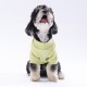 Pawstar Yellow Merino Sweat Large 30X33X46 cm