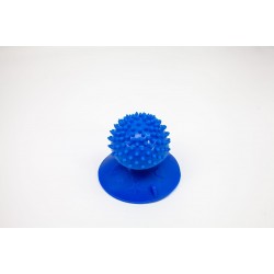 Vantuzlu Kedi Kaşınma Aparatı Karışık Renklerde 1 Adet