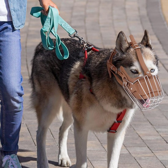 Karamel Pet İri Irk Metal Köpek Ağızlığı 43 cm XXL
