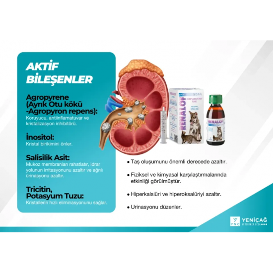 Catalysis Renalof Pets 30 Ml- Kedi Ve Köpekte Böbrek - Idrar Yolu Taşları