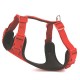 Doggie Yumuşak Softlu Köpek Göğüs Tasması 50/70 cm Kırmızı