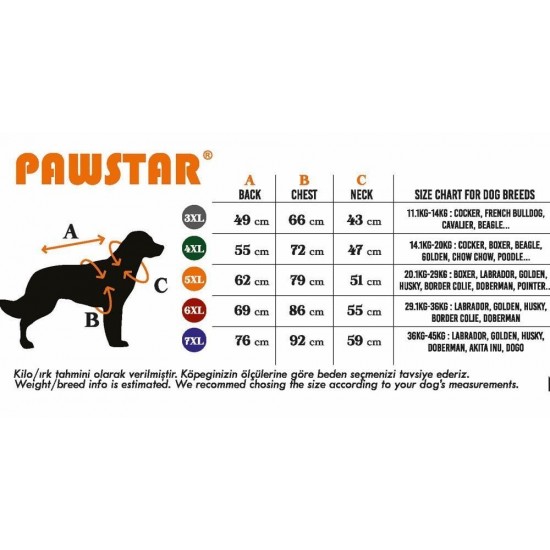 Pawstar Navy Blue Summer Time Büyük T-shirt 4XLarge  47X55X72 CM