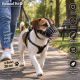 Orta Irk Metal Deri Köpek Ağızlığı 28 cm Siyah