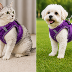 Nefes Alan Kumaş Air Mesh Kedi Köpek Göğüs Tasması X Small 32x36 cm Mor