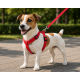 Gezdirme Kayışlı Dokuma Köpek Göğüs Tasma Seti 32*47-110 cm Kırmızı