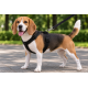 Gezdirme Kayışlı Dokuma Köpek Göğüs Tasma Seti 32*47-110 cm Siyah