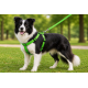 Gezdirme Kayışlı Dokuma Köpek Göğüs Tasma Seti 40*60-110 cm Neon Yeşil