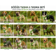 Gezdirme Kayışlı Dokuma Köpek Göğüs Tasma Seti 40*60-110 cm Neon Yeşil