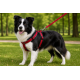 Gezdirme Kayışlı Dokuma Köpek Göğüs Tasma Seti 40*60-110 cm Kırmızı