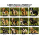 Gezdirme Kayışlı Dokuma Köpek Göğüs Tasma Seti 40*60-110 cm Siyah