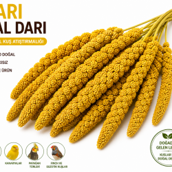 Kuşlar İçin Doğal Sarı Dal Darı 100 gr