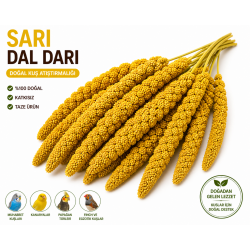Kuşlar İçin Doğal Sarı Dal Darı 100 gr