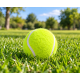 KP Köpek Oyuncağı Tenis Topu Sert 2’li 8 cm – Dayanıklı Köpek Topu