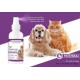 Pro Perfeck Kedi Ve Köpek Paçuli Parfüm 100 ml