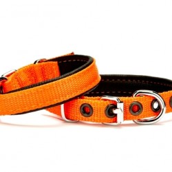 Doggie Softlu Köpek Boyun Tasması 1,5 cm x 35 cm Turuncu