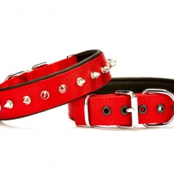 Doggie Çivi Desenli Köpek Tasması 3*65 cm Kırmızı