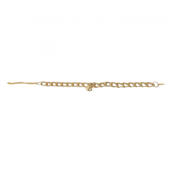 Markapet Kedi Ve Köpek Lüx Zincir Kolye 25-30 cm Medium Gold