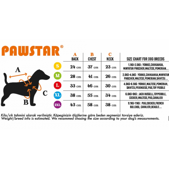 Pawstar Mint Sunrise Tişört Small 23x24x37 cm