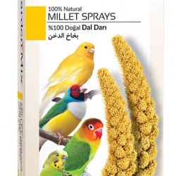 Gardenmix Platin Sarı Dal Darı 150 gr