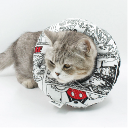 Benny Yastık Yakalık, Kediler ve Mini Irk Köpekler İçin Elizabeth Yakalık Medium