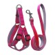 Gezdirme Kayışlı Dokuma Köpek Göğüs Tasma Seti 52*73-110 cm Pembe
