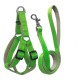 Gezdirme Kayışlı Dokuma Köpek Göğüs Tasma Seti 52*73-110 cm Neon Yeşil