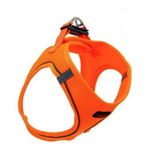 Tailpetz Air Mesh Köpek Göğüs Tasması X Large 54x60 cm Neo Turuncu